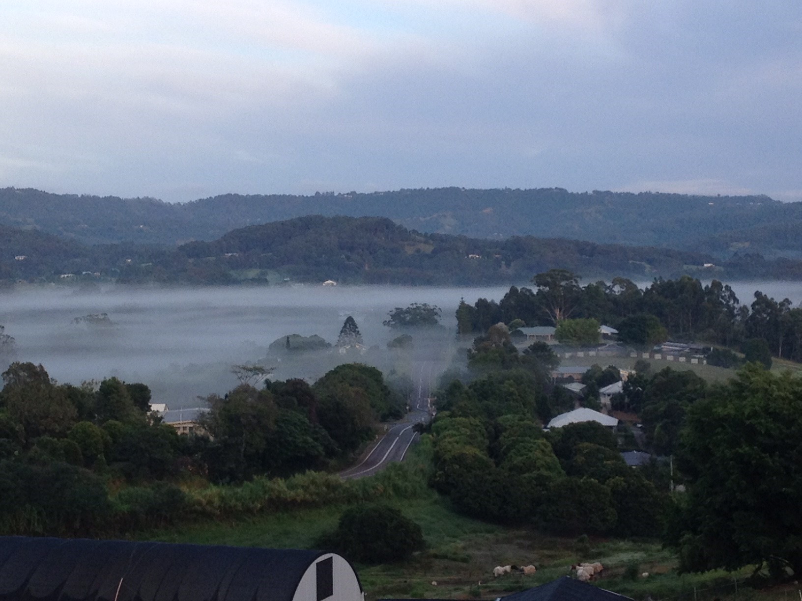 View over Taintons Road Woombye on a misty morning
