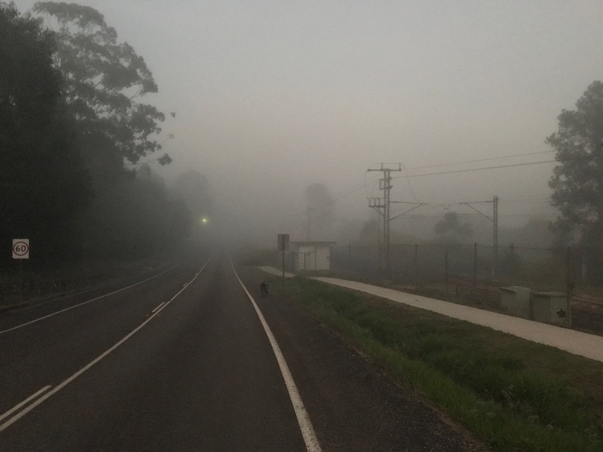 Misty morning beside railroad on Taintons Road Woombye