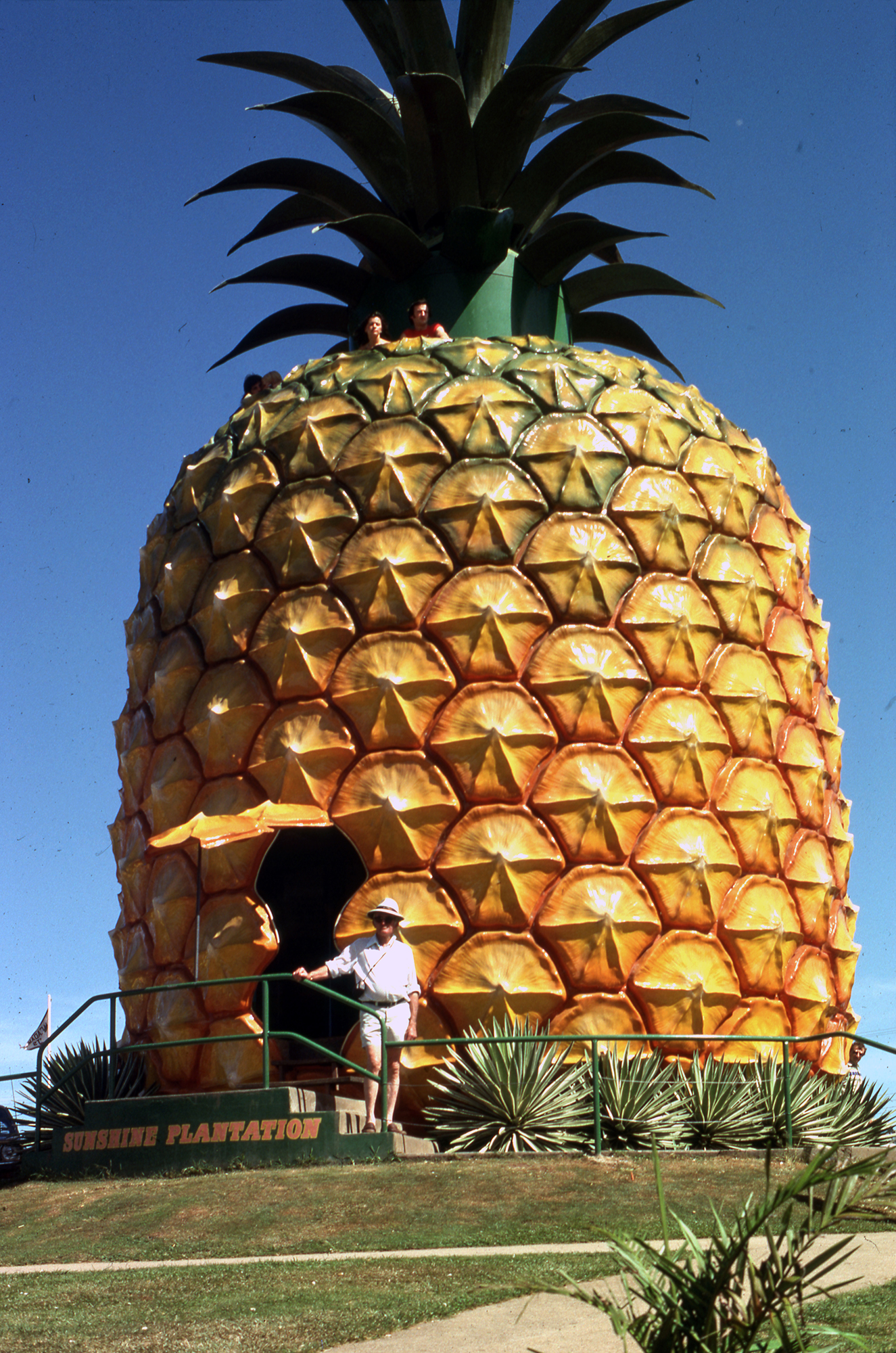 Big Pineapple, a focal point for the Sunshine Plantation, Woombye, May 1979
