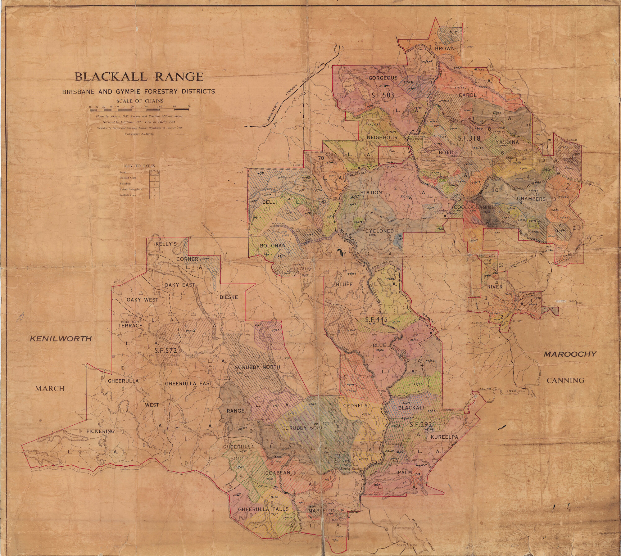 Blackall Range - Brisbane and Gympie Forestry Districts