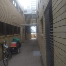 Cotton Tree Alleyway