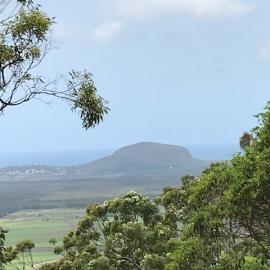 Mount Coolum