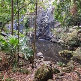 Waterfall at Cilento Park, Nambour 