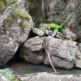 Booloumba Creek Falls, Conondale National Park 