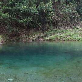 Conondale National Park, Booloumba Creek 2016