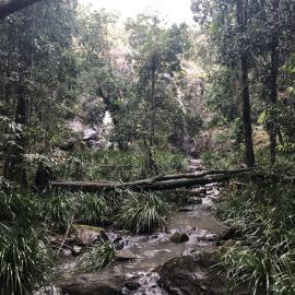 Cilento Park Nambour