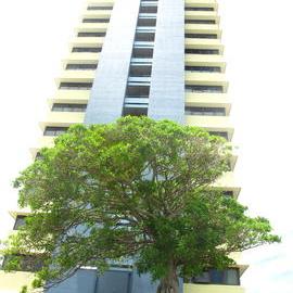 Various views around Caloundra
