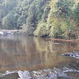 Gardeners Falls Maleny