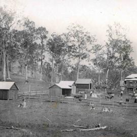 Sunny Brae outbuildings from left - fowl house, cow bails, sulky shed, dairy