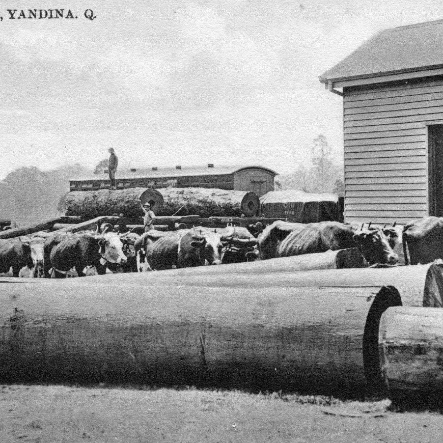 Yandina