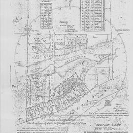 Auction Land Survey 