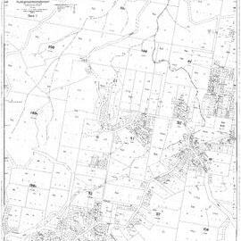 Buderim - February 1966