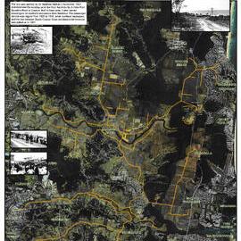 Coolum Cane Train & Tram Network