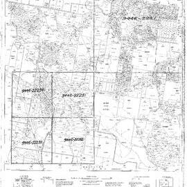 Eumundi - Cadastral Map February 1985