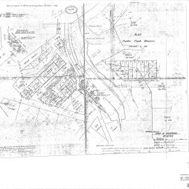 Town of Palmwoods - Survey