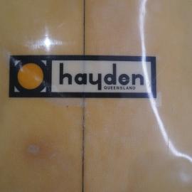 Hayden Logo