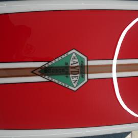 Hayden Surfboard