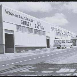 "Merrybud" ginger factory