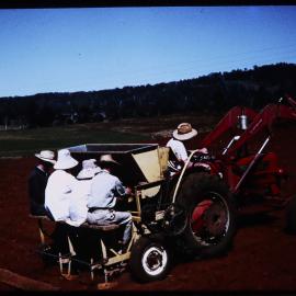 Ginger Planting