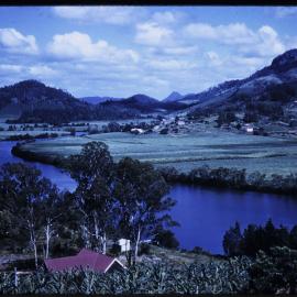 Maroochy River Cane Fields