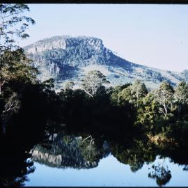 View of Mt. Ninderry across the Maroochy River