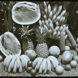 Tropical fruit of the Sunshine Coast