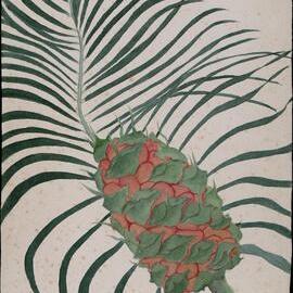 "Wild pineapple" - Macrozamia spiralis