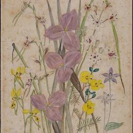 Untitled - mixed flowers (Orchids- yellow and white, Iris - purple)