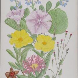 "Wildflowers of the Seashore"
