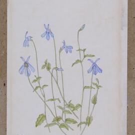 Original watercolour on paper, mounted on cardboard