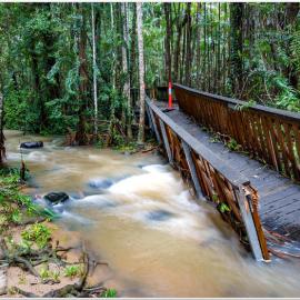 Buderim waterfall boardwalk - 2022 Floods