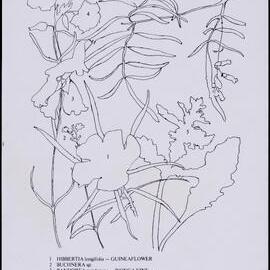 Mixed wildflower card - "Herberton" side 2