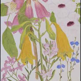 Mixed wildflower cards - "Cooloola"