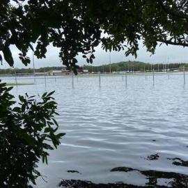 Maroochy Multi Sports Complex and Bradman Avenue 