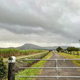 Mount Ninderry