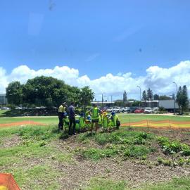 Tree planting at Coolum February 2021