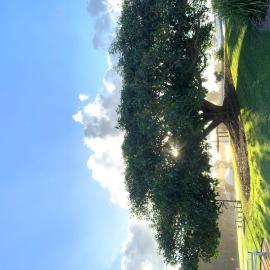 Jack Morgan Park, Coolum Beach
