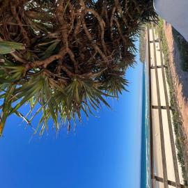 Coolum Main Beach