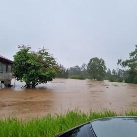 Petrie Creek flooding 