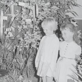 #73 - Nambour Orchid Show - 1970