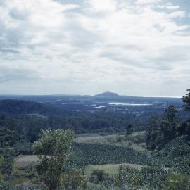 Buderim