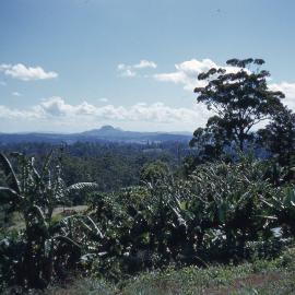 Buderim
