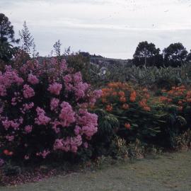Lindsay Rd, Buderim