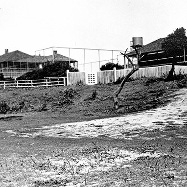 Alfred L. Johnson Oral History