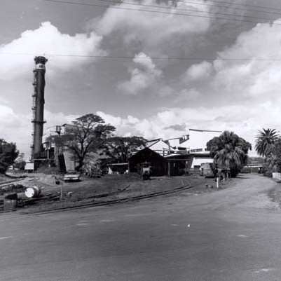 Dave Mitchell Oral History