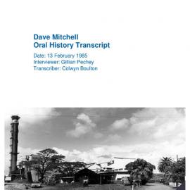 Dave Mitchell Oral History Transcript