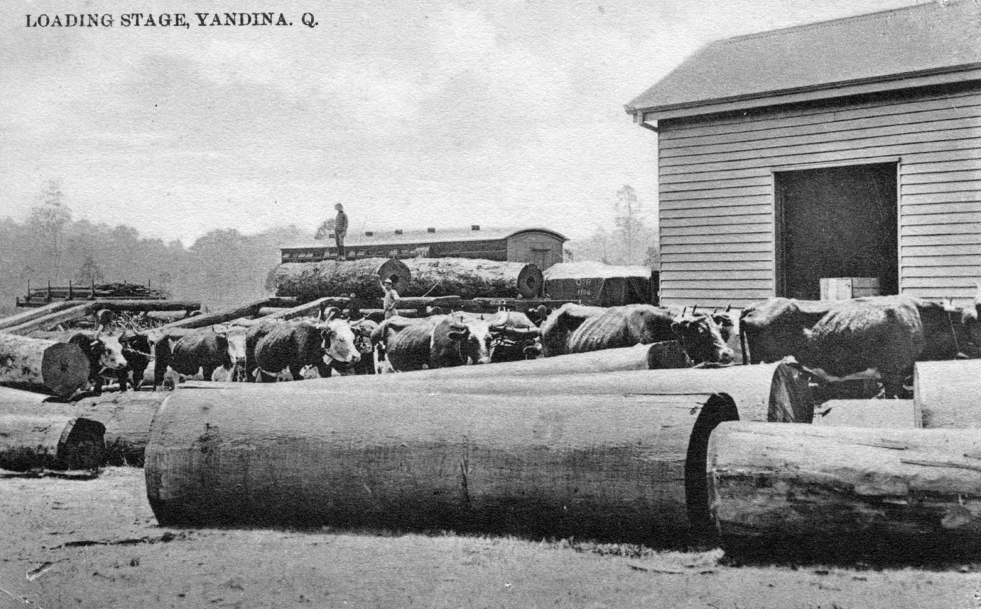 Yandina