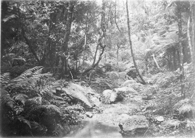 June Bond Oral History