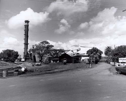 Dave Mitchell Oral History